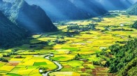 Les rizieres en terrace à Son La Vietnam