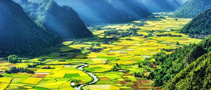 Les rizieres en terrace à Son La Vietnam