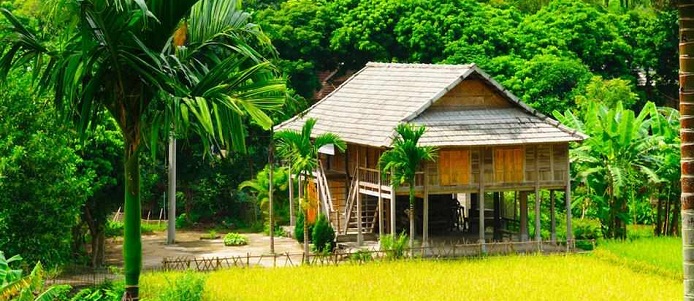 Maison sur pilotis des Thai dans la vallée de Mai Chau