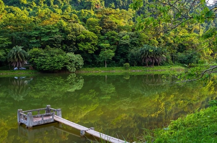 Les plus belles réserves naturelles au Vietnam