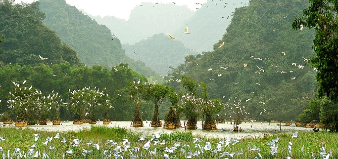 Reserve naturelle de Van Long de Ninh Binh