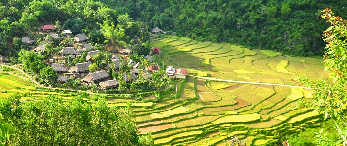 Village Kho Muong
