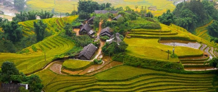 riziere en terrasse à ne pas rater au Vietnam
