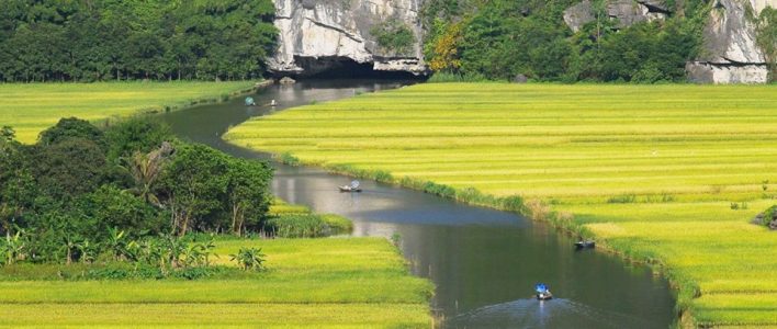 rizieres-en-terrestre-au-nord-vietnam